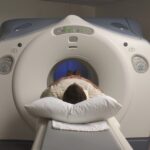 PET Scan vs CT Scan